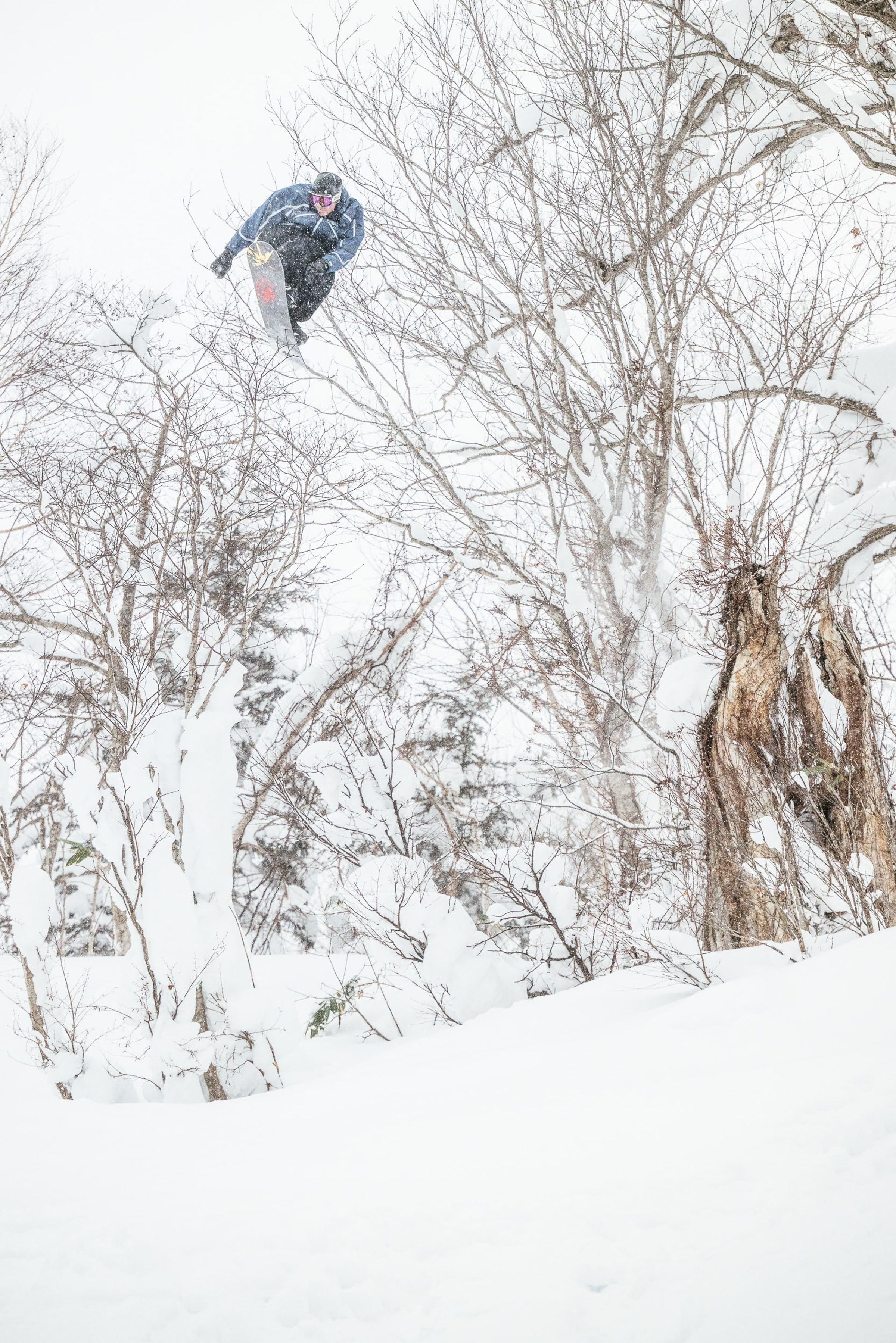 Park Pants SDB